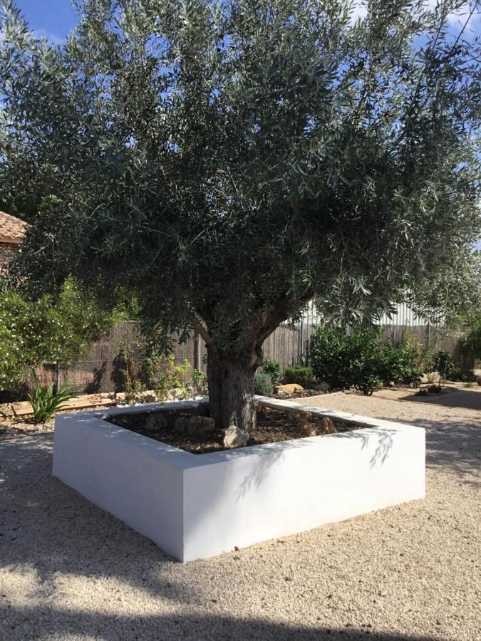 Relax En La Huerta De Murcia Esterno foto